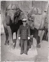40,000 Murphy with a pair of circus elephants