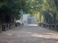 Alyscamps Cemetery, Arles, looking toward l'eglise St Honorat. Many students were sketching the day we visited.