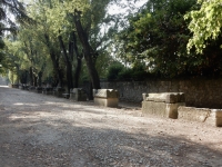 Alyscamps Cemetery, Arles