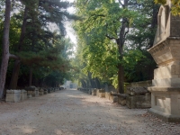 Alyscamps Cemetery, Arles, looking toward l'eglise St Honorat