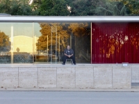 Mies van der Rohe's Barcelona Pavillion: This guy takes the money and gets to be in all the pictures
