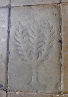 Cloister floor tree, Barcelona Cathedral