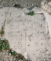Barrington Beer Trust, Honey, Marge, Josie, Helen, Ruth. Chicago lakefront stone carvings between Belmont and Diversey Harbors. 2002