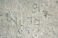 Nuts 69, 81. Lost. Chicago lakefront stone carvings, between Belmont and Diversey Harbors. 2002