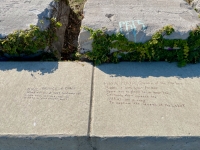 Eric-Prince of Chaos, Maya Maya Queen of the Harbor. Chicago lakefront writing, between Belmont and Diversey Harbors. 2021