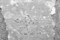 Cathy + Eddie. Chicago lakefront stone carvings, Calumet Park. 2020