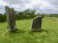 King Doniert's Stones, 9th Century, near St Cleer, Bodmin Moor, Cornwall