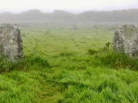 The Merry Maidens stone circle, near St. Buryan, Cornwall