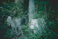 Sentinel animals for the Virgin Mary. E.T. Wickham site, 1995.