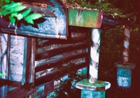 Ruins of a cabin, near the Virgin Mary statue. E.T. Wickham site, 1995.