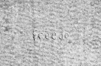 Freedo. Chicago lakefront stone carvings, Foster Avenue Beach. 2017