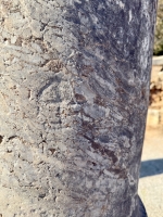 Cross graffiti on a pillar, Perge