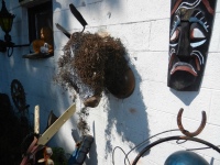 Animal head mounted on wall