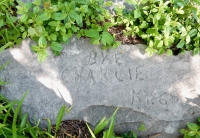 Bye Charlie KY 69. Chicago lakefront stone carvings, behind La Rabida Hospital, 65th Street and the Lake. 2018