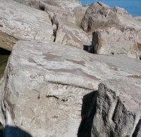 Elaborate carving of a dragon. Chicago Lakefront stone carvings, south of La Rabida Hospital. 2025