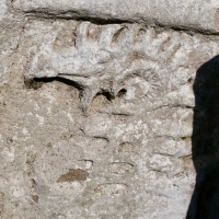 Elaborate carving of a dragon, detail. Chicago Lakefront stone carvings, south of La Rabida Hospital. 2025