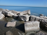 Elaborate carving of a dragon (center right). Chicago Lakefront stone carvings, south of La Rabida Hospital. 2025
