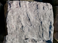 Swastika, Don R. Chicago Lakefront stone carvings, south of La Rabida Hospital. 2025