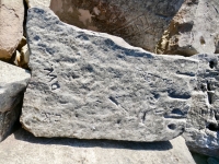 Trettel, D.W., CK. Chicago lakefront stone carvings, south of La Rabida Hospital. 2025
