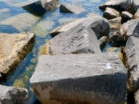 Nick, DW, CK, Trettel, others. Chicago lakefront stone carvings, south of La Rabida Hospital. 2023