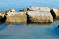 Edwin Loves Edwina and ??? Loves Helen. Chicago lakefront stone carvings, south of La Rabida Hospital. 2021