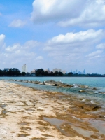 The shoreline south of La Rabida Hospital looking north to Hyde Park and downtown. The lake is high and the rock-bearing carvings are in the water. 2022