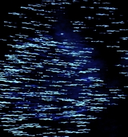 Blue streaks fireworks closeup