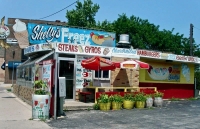 Multi-part food stand extravaganza at Shelly's Tasty Freeze, Lincoln Avenue at Winona