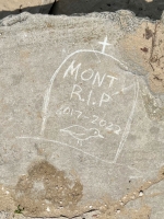 Tribute to Monty the piping plover, 2017-22, with tombstone and bird image. Now vanished. Chicago Lakefront stone drawings, Montrose Beach. 2022