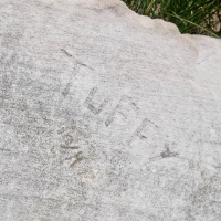 Tuffy 10/14 detail. Chicago lakefront stone carvings, Montrose Point. 2022