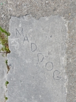 Maddog, KP, level 3. Lakefront stone carvings, near Montrose Beach. 2019