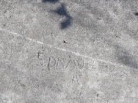 Spamure(?) on G 67 rock, level 2. Chicago lakefront stone carvings, south of Montrose Harbor. 2023