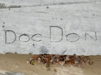 Doc Don #1. Chicago lakefront stone carvings, Montrose Beach. 2023