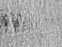 Bill. Chicago lakefront stone carvings, between 45th Street and Hyde Park Blvd. 2019
