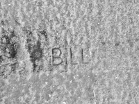 Bill. Chicago lakefront stone carvings, between 45th Street and Hyde Park Blvd. 2019Bill. Chicago lakefront stone carvings, between 45th Street and Hyde Park Blvd. 2019