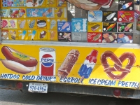 Hot dog, Pepsi, egg roll, ice cream and pretzel, Street Food Vendor sign art, National Mall, Washington D.C.