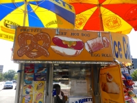 Pretzel, hot dog and egg roll, Street Food Vendor sign art, National Mall, Washington D.C.