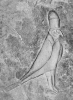 Egyptian-style bird. Chicago lakefront stone carvings at Fullerton. 2016