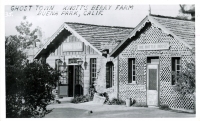 Bottle House at Knott's Berry Farm, Buena Park, California, postcard