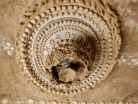 Ceiling detail, Le Palais Idéal du Facteur Cheval, Hauterives, France