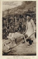 Facteur Cheval hauling rock, antique postcard