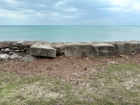 Butterly, moth, eyeball/sunrise. Chicago lakefront stone carvings, Promontory Point. 2025