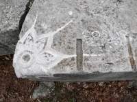 Complex pattern (detail), profile, signed Cosmo (Joel Cardenas). Chicago lakefront stone carvings, Promontory Point. 2025