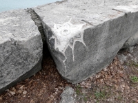 Complex pattern (detail), profile, signed Cosmo (Joel Cardenas). Chicago lakefront stone carvings, Promontory Point. 2025