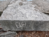 Jellyfish, EMS, butterfly. Chicago lakefront stone carvings, Promontory Point. 2025