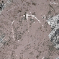 Free Palestine, peace symbol (detail), scooter. Chicago lakefront stone carvings, Promontory Point. 2025