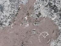 Free Palestine, peace symbol, scooter (detail). Chicago lakefront stone carvings, Promontory Point. 2025