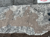 Free Palestine, peace symbol, scooter, circular shapes and lines. Chicago lakefront stone carvings, Promontory Point. 2025