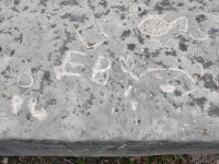 P, box, EB, fish, incomplete creature. Chicago lakefront stone carvings, Promontory Point. 2025
