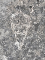 Devil(?) face. Chicago lakefront stone carvings, Promontory Point. 2025